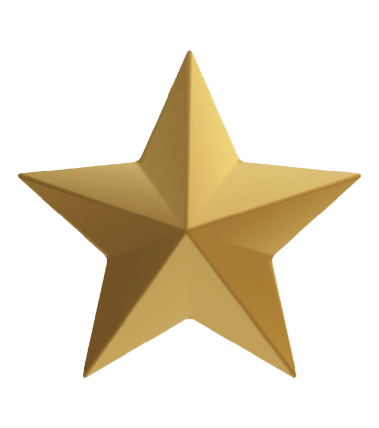 rating icon